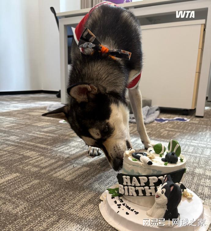 特立独行 特立独行